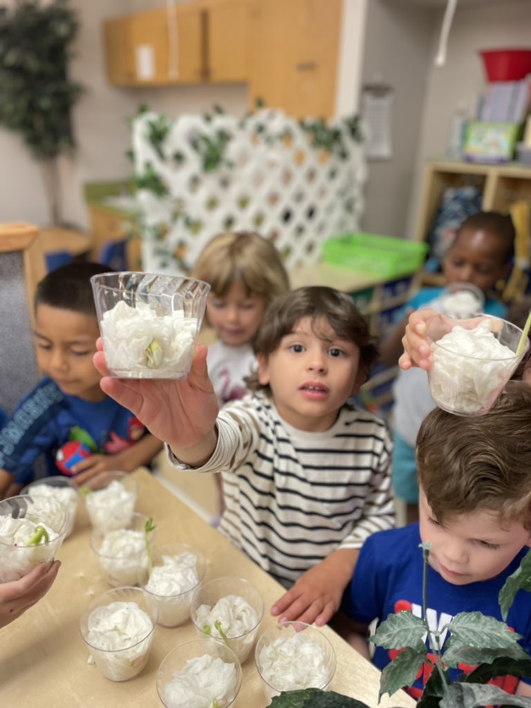 2 days to go and we are still learning, still marveling at how a flower grows and changes. Cherishing these last days with my curious kids. #risdprek #risdlitandint #risdbelieves