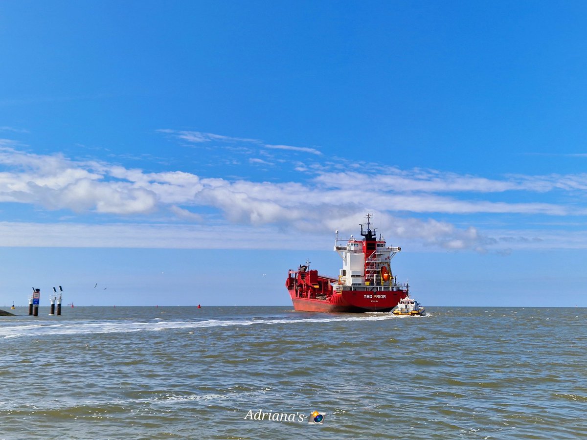 ArjaKastelein's tweet photo. Zat nèt op tijd om de #YedPrior uit te zwaaien    ⚓️🙋‍♀️ ...mooi gedenkmonumentje... en #waddenkool weer vol in bloei #waddenzee bij #Harlingen https://t.co/V4tPIyZRuL