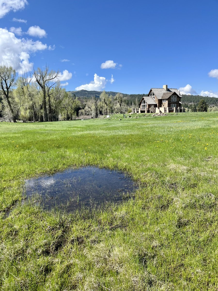 Good morning! It’s a beautiful day at the Sohum Mountain Ranch! #vacationrentals #familyfun #destinationweddings #flyfishing #mountainviews