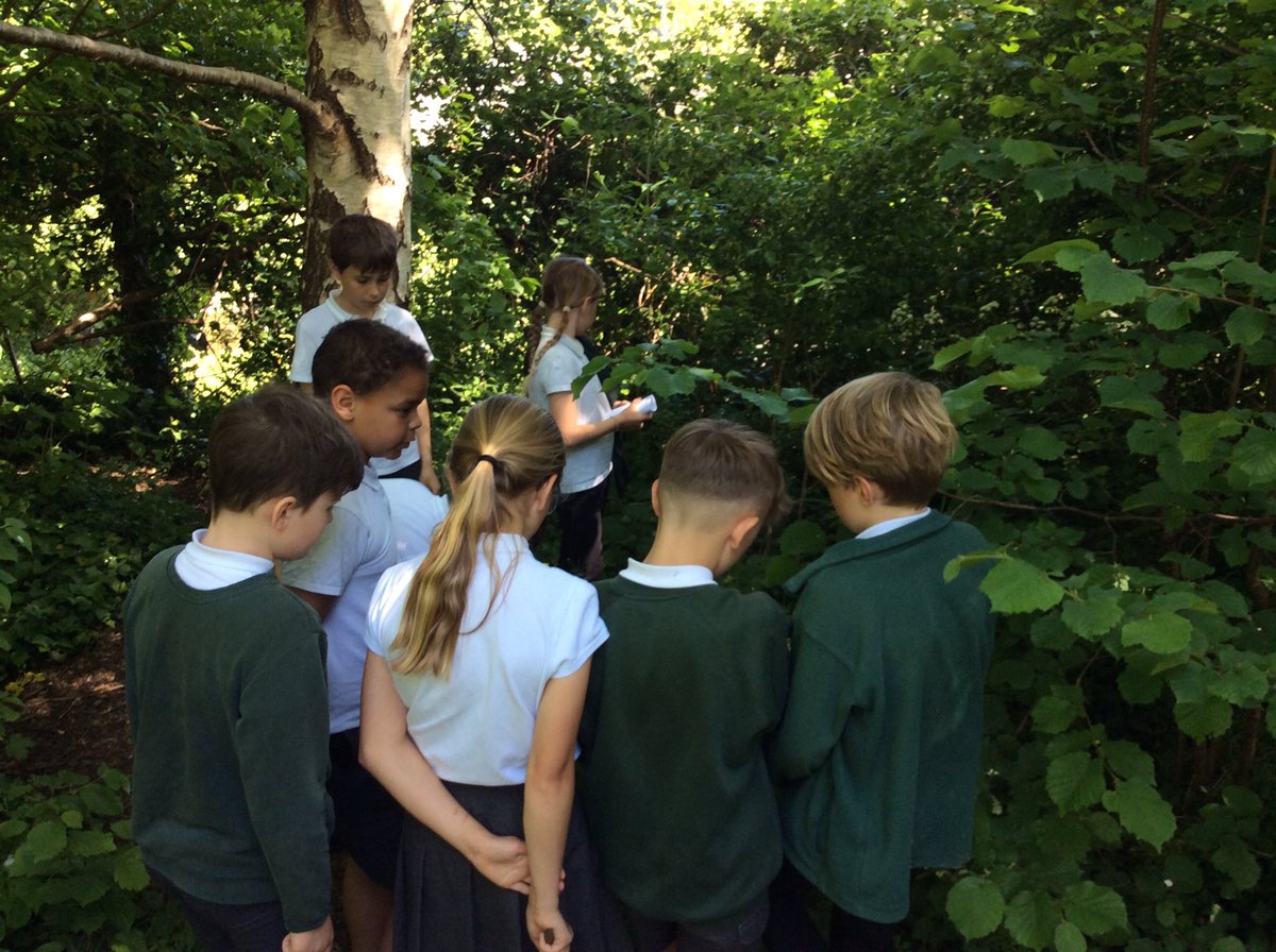 bps_Y5's tweet photo. Year 5 have been identifying the reproductive parts of flowers this week. We spotted the components of the stamen and carpel on flowers on our school field. https://t.co/FAnaLKfvnx