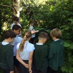 Photo by BPS Year 5 (@bps_Y5)