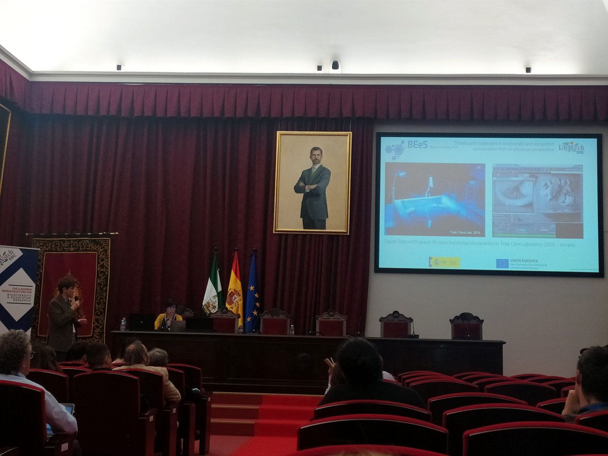 LifeWatchERIC's tweet photo. Last day of #BEeSConference 🐝 🌿 continues with the first part of the afternoon session chaired by Iria Soto, exploring further "#Biodiversity Observation 'System of Systems'".

#BEeSConference #livestreaming ➡https://t.co/REAJ6YsMr6

#BEeS2023 #OpenScience #Innovation https://t.co/hF5jsYYcPQ