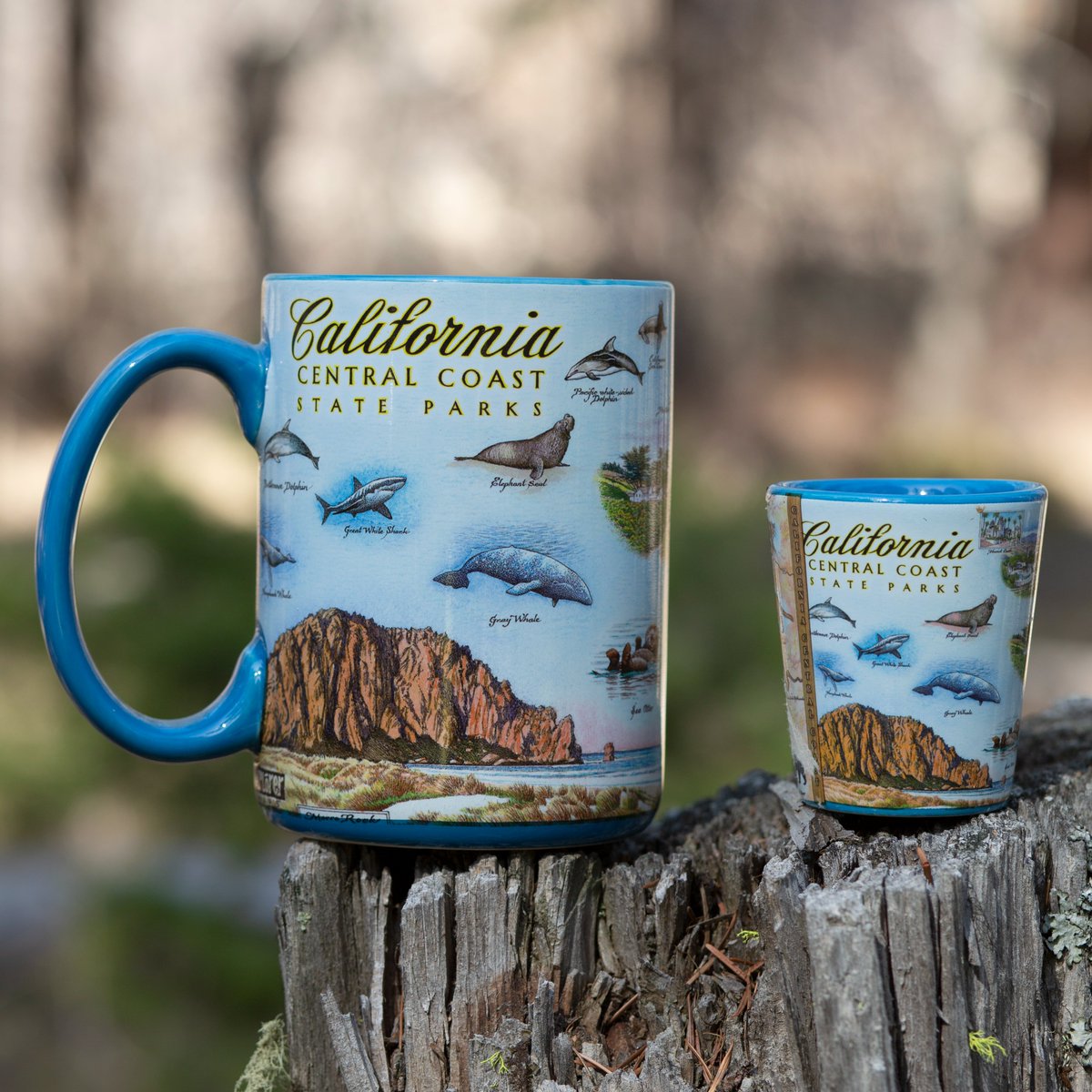 Xplorer Maps tweet media