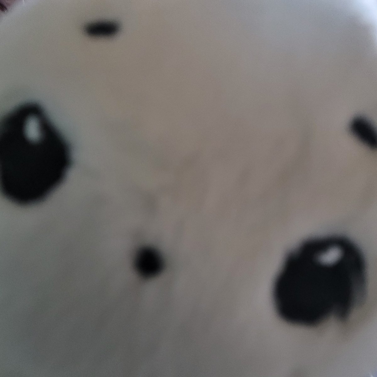 곰팡이도착!!!
저희곰팡이너무... 곰동원인데요?
경락이 필요없음ㅎㅎ
사실하는법도몰라욘
오래오래, 잘살아가겟습니다 :)