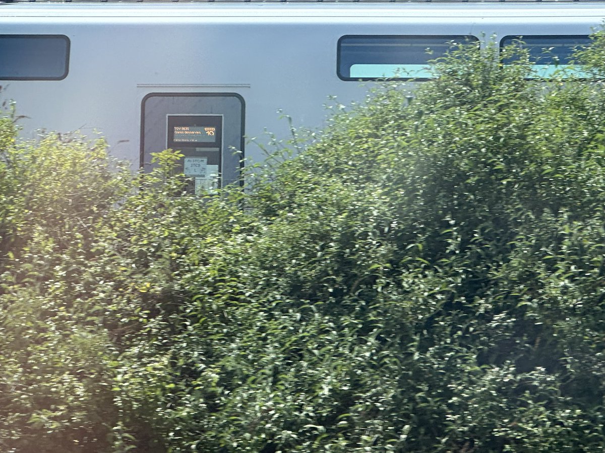 Bonjour #TGVM ! Et pour la première fois, une porte en French Berry :) Et la rame 998 a son SIVE allumé 😊 Le futur <a href="/TGVINOUI/">TGV INOUI</a> arrive ! (Cc <a href="/tgvdu45/">Théo</a> )