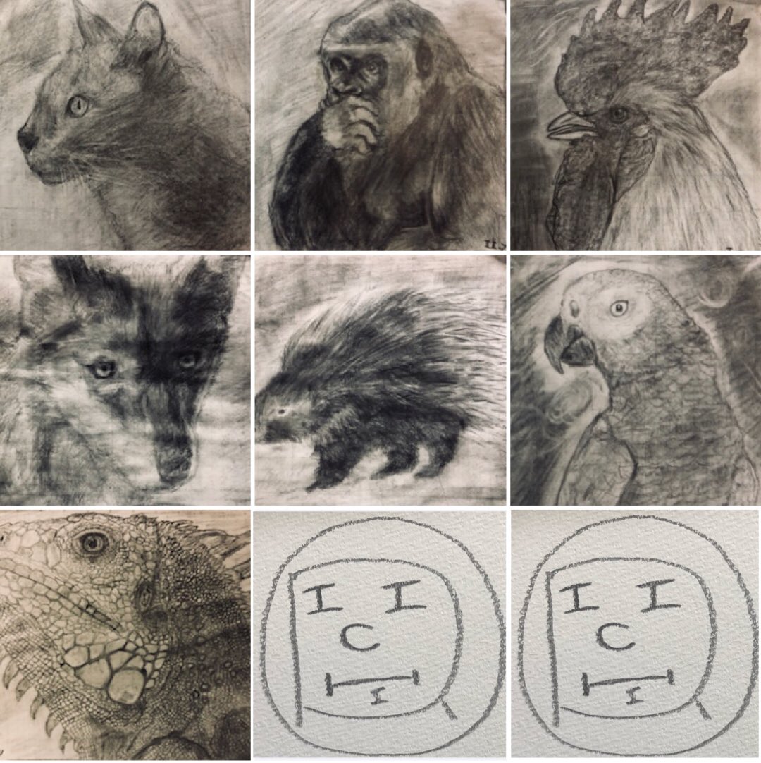 横田惟一郎(zuido) tweet media