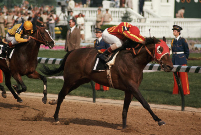 HORSERACING1002's tweet photo. CANNONADE🇺🇸1971
(BOLD BIDDER - QUEEN SUCREE BY RIBOT)#Cannonade
B/O John M. Olin (Ky)May 12,1971.
T/ Woody Stephens
25-7-3-6---$501,364
Great American S, Kentucky Jockey Club S, Aqueduct H, Kentucky Derby,
2nd Florida Derby
3rd Champagne S, Heritage S, Belmont S. https://t.co/WSxM0VrIxS