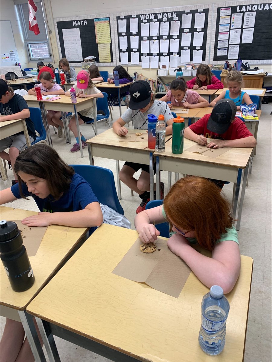 Grade 4s were mining for chocolate chips for their final Rocks and Minerals activity <a href="/GEDSB/">Grand Erie District School Board</a>