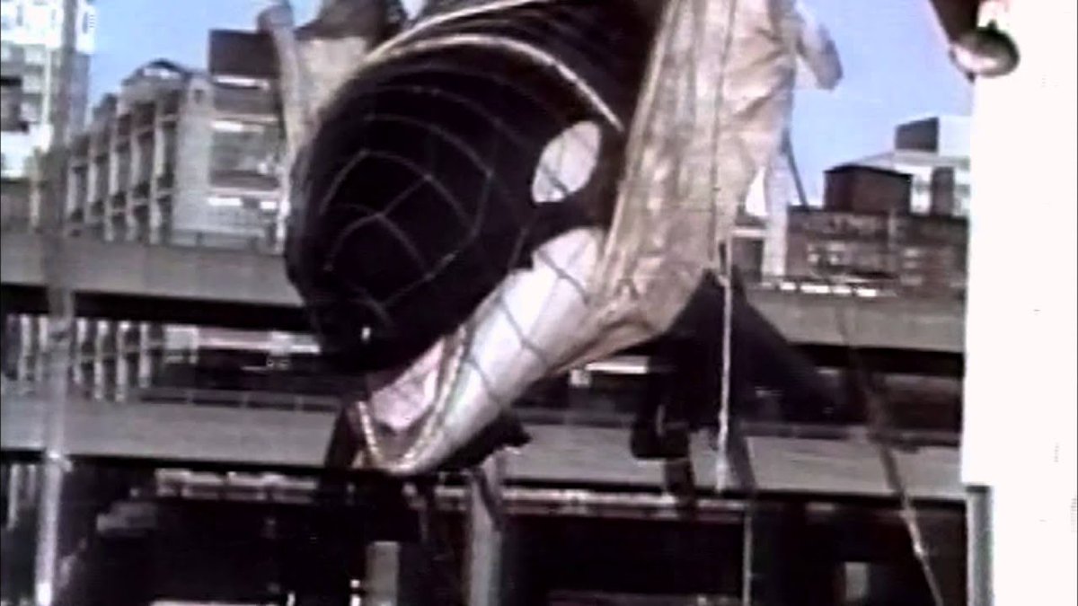 CagesFree's tweet photo. How it all started many years ago for most of these intelligent #orcas 
We miss our family 
We were snatched and set captive on a very young age. 
We were not born to be your entertainment
A #Seapens is the answer. Do it for them, they gave you so many years of their lives https://t.co/XAt1HxXMQa