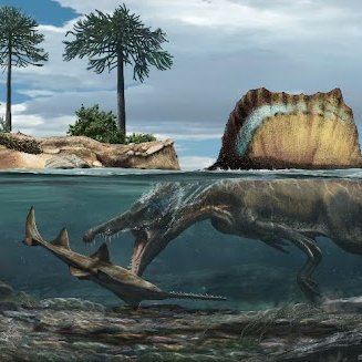 This semi-aquatic predator prowled the rivers of North Africa 95 million years ago. 🌍 

Even the feistiest fish would’ve been no match for Spinosaurus’ cone-shaped teeth and dense bones (similar to modern-day divers like hippos, manatees, and crocodiles). 🐟😋