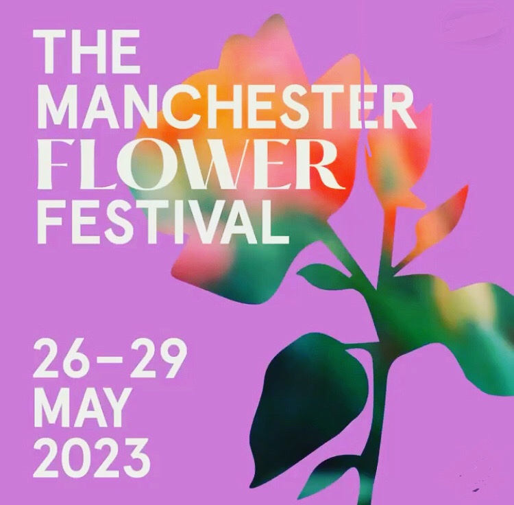 CupidsBowCelloDuo tweet media