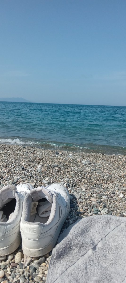 Salvo ⭐️⭐️ tweet media