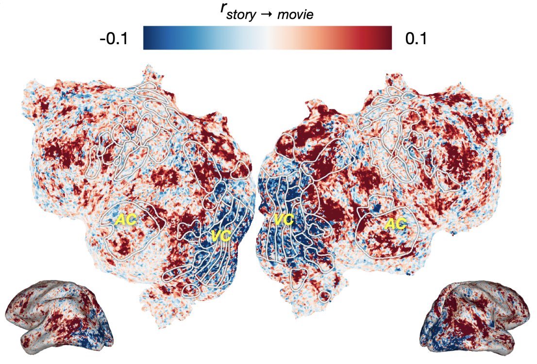 Multimodal transformers make it possible to transfer fMRI encoding models between language and vision! (though mostly from L->V and not V->L 🤔) New paper from @jerryptang @_du_meng @vvobot @vasudev_lal arxiv.org/abs/2305.12248