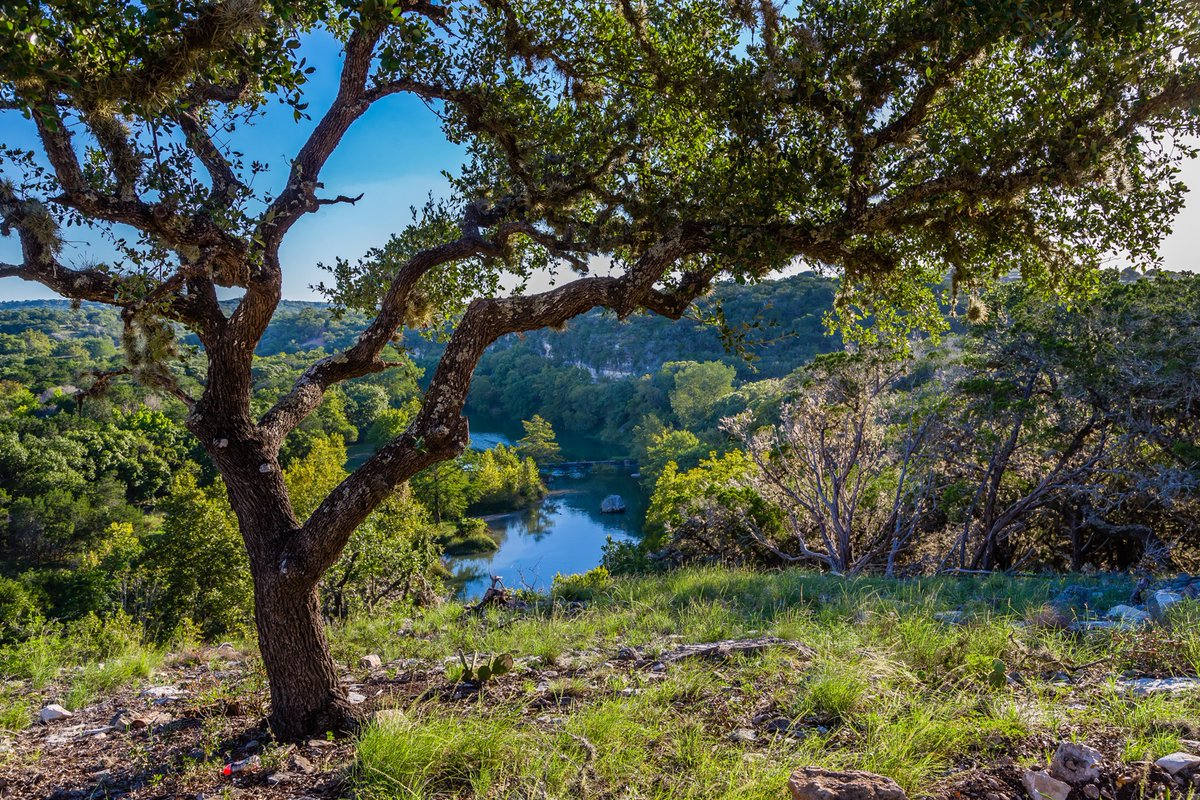 TexasLandMen's tweet photo. Discover Panther Creek Estates in Hunt, TX  
Exclusive community along the picturesque Guadalupe River. 8 properties, 12-21 acres, 6 on the river, 2 on Bear Creek. Enjoy a 1.4-acre river park. Paved road frontage, elegant electric gated entrance... 
https://t.co/ic1Co7L1Nr https://t.co/27FK3nHJcU