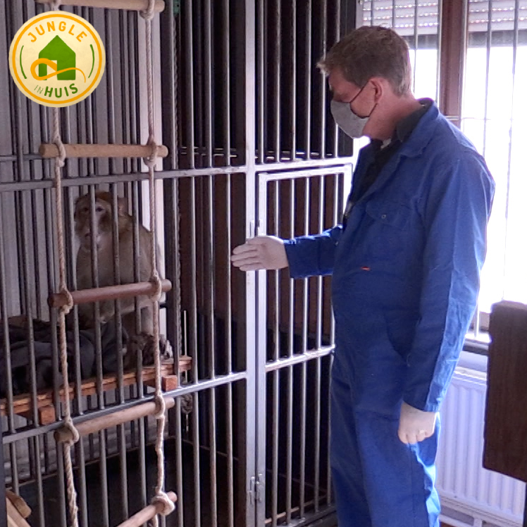 Stichting AAP tweet media