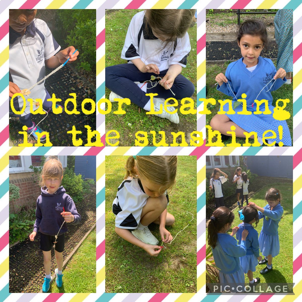 Amazing outdoor learning!  With the gorgeous weather we are having there is no reason not to take our learning outside! Year 1&2 did some foraging and then used needles and thread to make beautiful necklaces!  #finemotorskills #learningisfun  #outdoorlearning