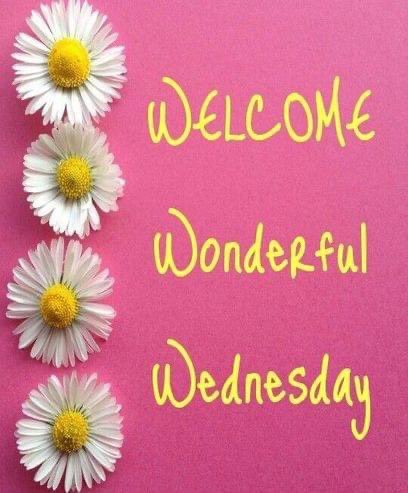 Happy Wednesday Everyone! #WonderfulWednesday #WednesdayMotivation #WednesdayFeeling
