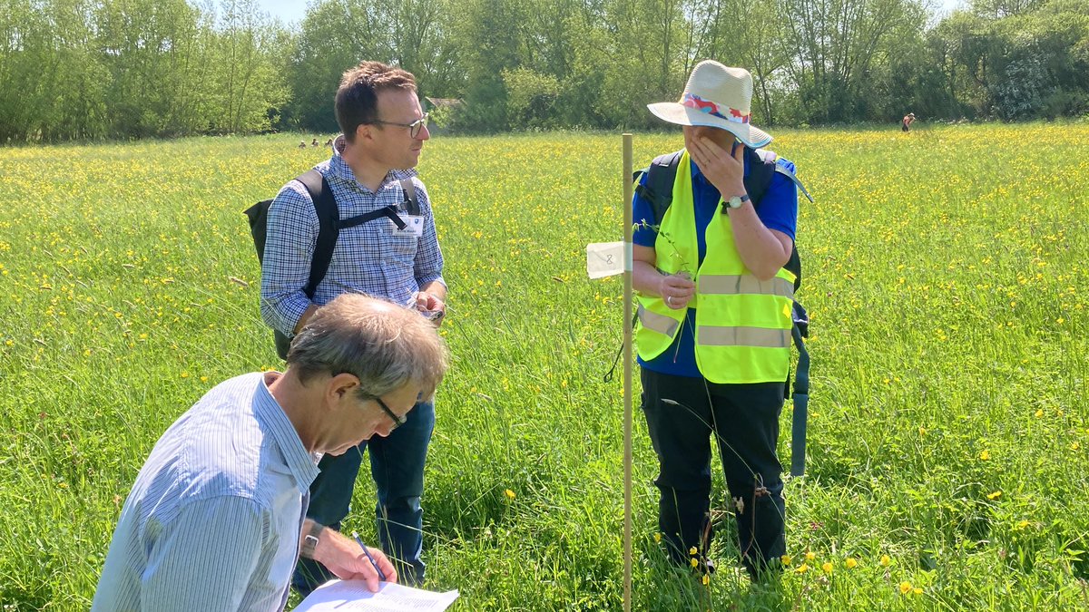 Miles King tweet media