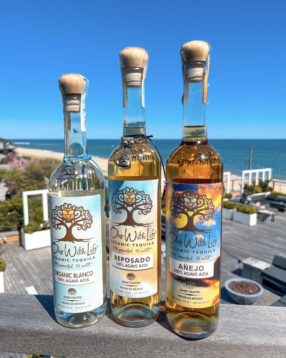 Started from the bottom..now the whole team's here!

#onewithlifetequila #womanownedtequila #organictequila #additivefreetequila #montaukny #gurneysresort