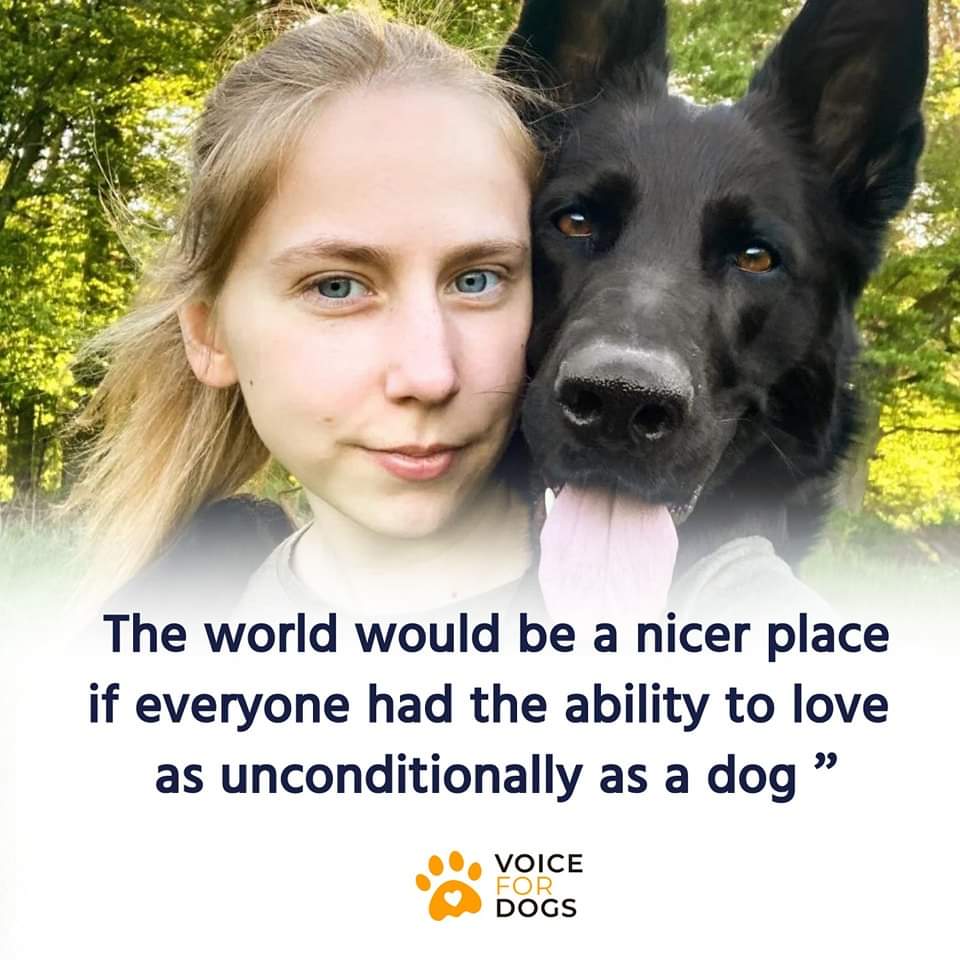 VoiceForDogsOrg's tweet image. Love like a dog unconditionally!
#dogsloveunconditionally #lovelikeadog #dogsarethebest