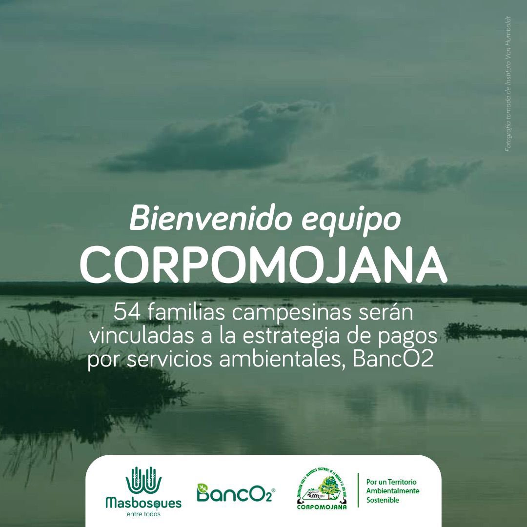 MasbosquesCol's tweet photo. ¡Bienvenido Corpomojana!
Celebramos su apuesta por la vida y la sostenibilidad de los ecosistemas naturales de las subregiones de La Mojana y San Jorge.
Gracias a la implementación de #BancO2 en su jurisdicción 54 familias se comprometen con la protección de ecosistemas🍃 https://t.co/6z4BkNig5Q