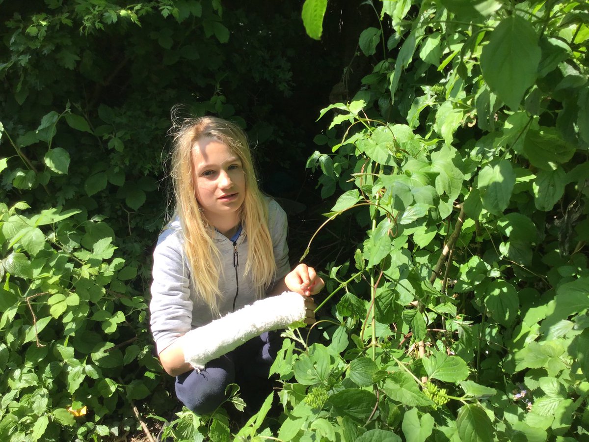 Fun at Forest School #2 ⁦⁦<a href="/CoedGlas/">Coed Glas Primary</a>⁩