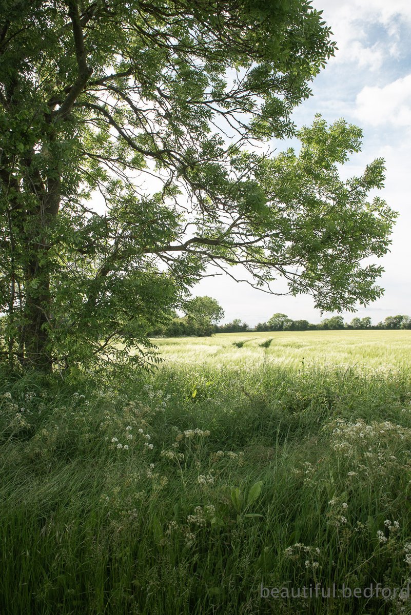 bbquarterly's tweet photo. Along the North Bedfordshire Heritage Trail https://t.co/agGT3y6Yrs