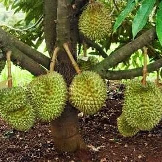 HasanAl79477012's tweet photo. #FotoProfilBaru https://t.co/kwJBniWqWL