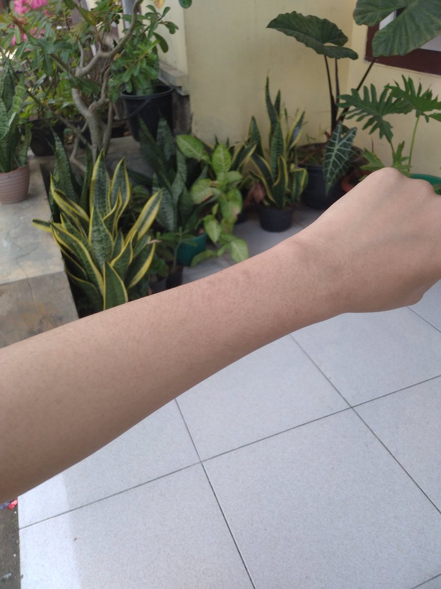 Cek pinned 📌 tweet media