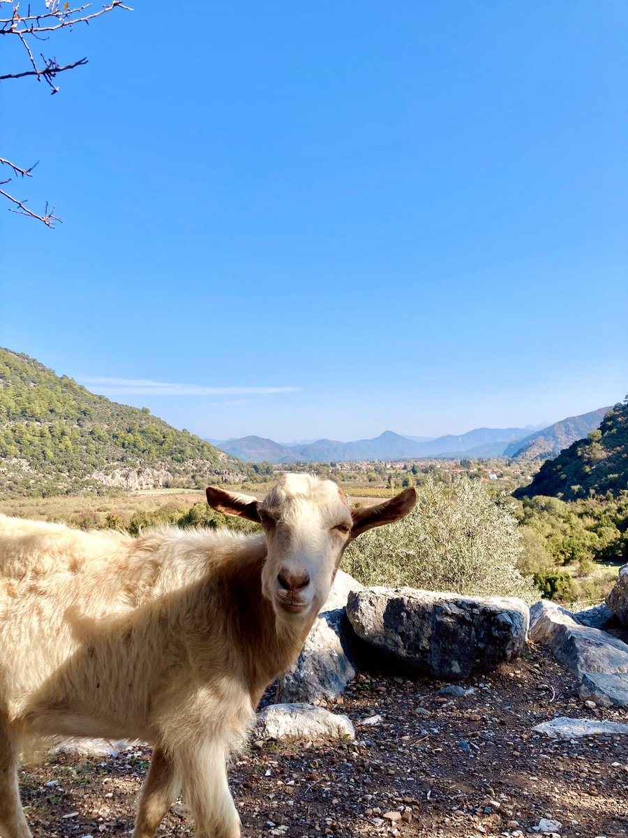 Haberi aynen bu şekil okuduk 😎

📍 Kaunos Antik Kenti, Muğla