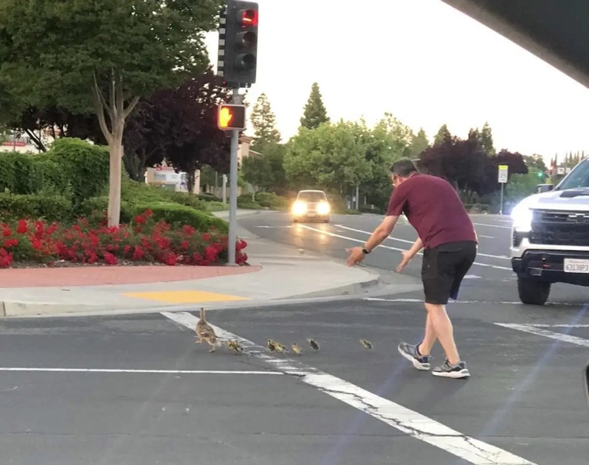elnacionalpy's tweet photo. TAN TRISTE | 🥺

🔹Se hace #viral la historia del padre de familia que falleció en California 🇺🇸 tras haber bajado de su auto para ayudar a cruzar la calle a unos patitos y su madre. 

🔹Poco después terminó atropellado por otro coche y un niño de 12 años captó su última foto 😔 https://t.co/T00Vvavr7o