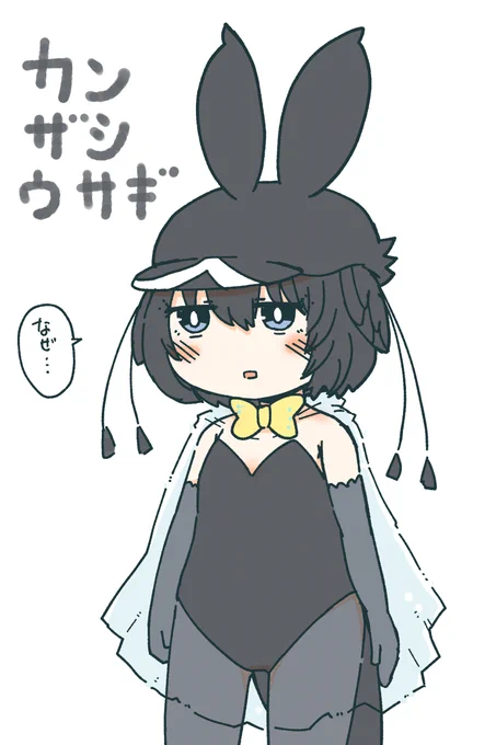 カンザシウサギです