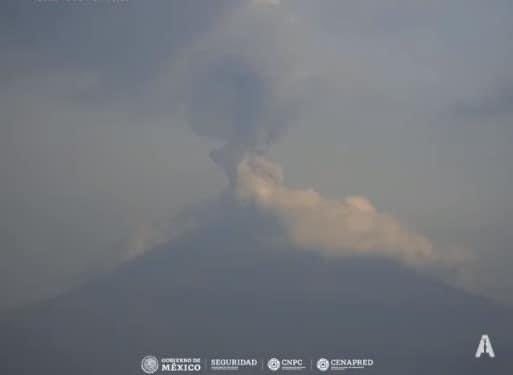 SergioSalomonC's tweet photo. 🟡🌋 #Actualización #Popocatépetl | Buenos días. Informo que hay condiciones de mejora en #Puebla ante la caída de ceniza. 

En su reporte, el #CENAPRED da a conocer que en las últimas 24 horas el volcán registró 22 exhalaciones, mil 234 minutos de tremor y seguimos en #AmarilloFase3.

Los municipios donde se ha reportado caída de ceniza en las últimas 24 horas son: Puebla, Nealtican, Tianguismanalco, Atlixco, San Diego la Mesa Tochimiltzingo, Huaquechula, Atzitzihuacan, Tepexi de Rodríguez, San Jerónimo Tecuanipan,  Tepeojuma, Atoyatempan, Santa Inés Ahuatempan, Santa Catarina Tlaltempan, Tzicatlacoyan, San Juan Atzompa, Ocoyucan, Tehuitzingo, Tochimilco, Tilapa, San Pedro Cholula, San Andrés Cholula y Acatlán de Osorio.