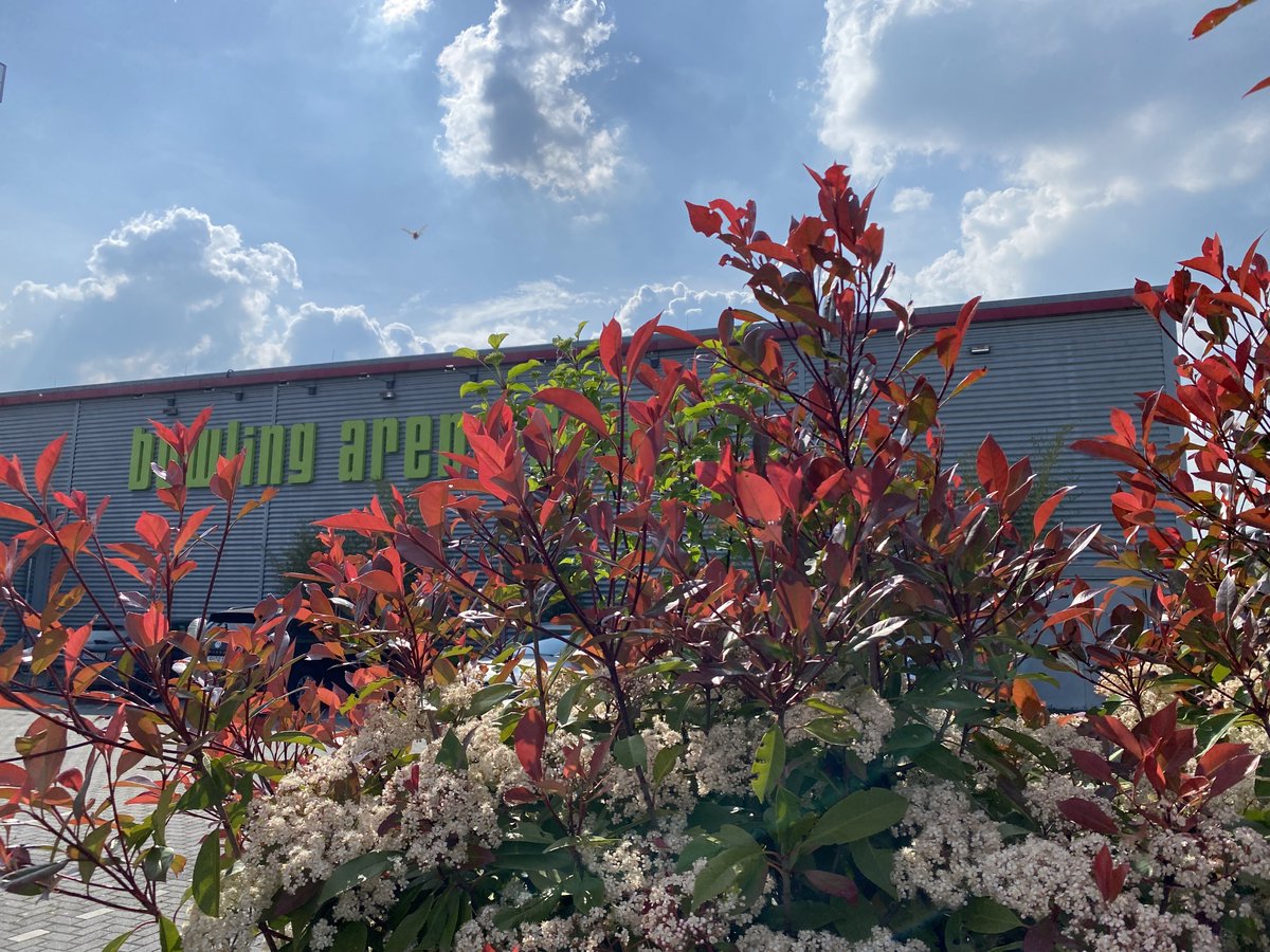 BVRPresse's tweet image. Manchmal sind die Kollegen nicht #AufDemWegZumBVR, aber zusammen auf dem Weg zum Afterwork-Bowling. Danke für diesen kleinen Schnappschuss aus Bonn. #TeamBVR