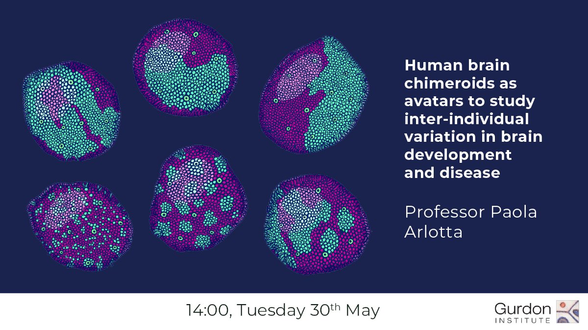 📢Paola Arlotta <a href="/ArlottaLab/">Arlotta Lab</a>, <a href="/harvardstemcell/">HSCI</a>, will deliver the next instalment in the Gurdon Institute Seminar Series.
📅 30 May ⏰ 2 pm (BST) 📍online 👉 bit.ly/3MQxlwi