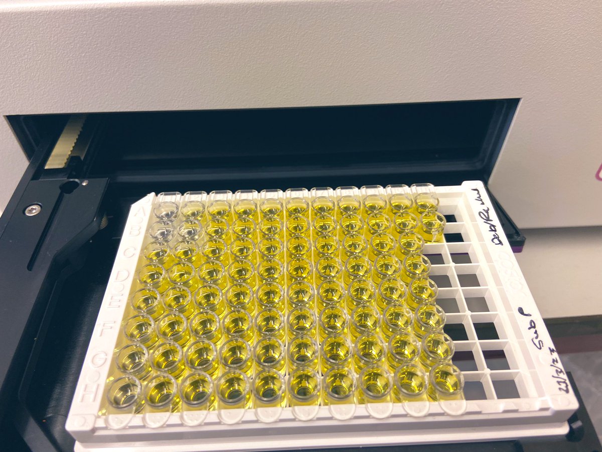 Great to be back to lab and analysis of tear proteins #ELISA #tearfilm #dryeye #contactlens #ocularsurface @AstonOptometry