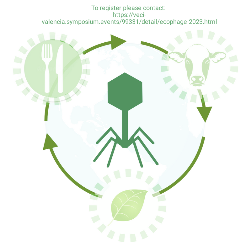 Dacil rivera tweet media