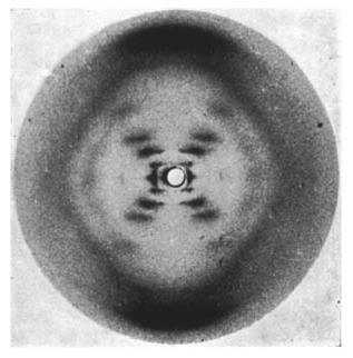 #SciComm Tweeps: 
What is in your personal favorite when it comes to iconic scientific illustrations? 

I will start with #Photo51 by Rosalind Franklin and Raymond Gosling.  

en.wikipedia.org/wiki/File:Phot…
(Image Credits: Raymond Gosling/King's College London; Wikipedia.org)