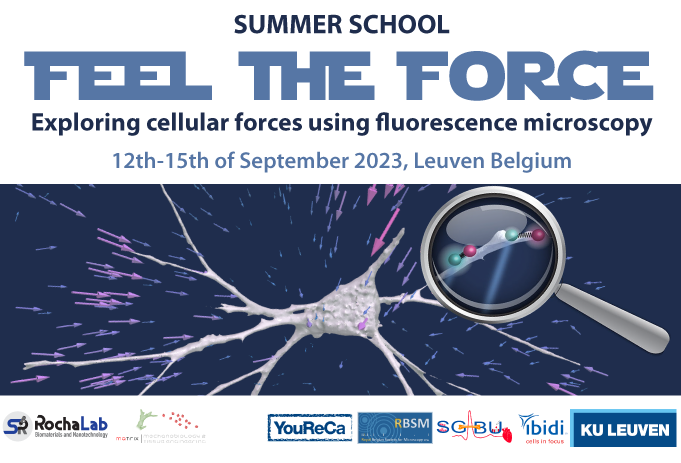📣 Exciting news! 🌟 I am thrilled to announce the highly anticipated second edition of the 'Feel the Force' summer school! 🎉Join us to explore the fascinating world of mechanobiology (TFM, Force sensors, modelling, microfluidics, and much more!) kuleuven.be/english/summer…