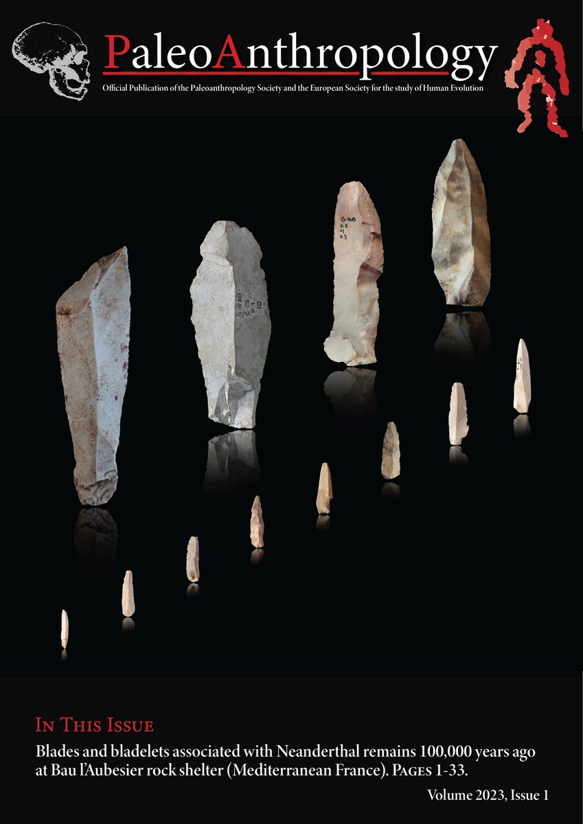 Thrilled to be featured on the cover of PaleoAnthropology!
Our detailed analysis of lithics, found in association with Neandertal remains at Bau de l'Aubesier in France, unveils early bladelet production dating back to 100,000 years ago in France.

paleoanthropology.org/ojs/index.php/…