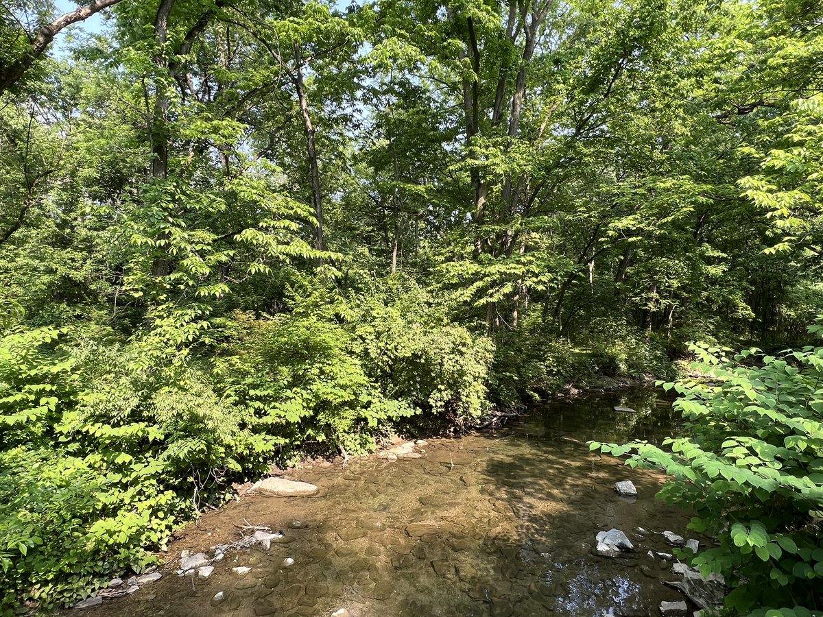 The 2023 Choose Clean Water Conference has been information packed &amp; eye opening! From #Baltimore tree care to environmental #civics in a PA high school to removing #coal ash from 
MD/VA waterways, to #stream visits, what a great 2 days! Thanks <a href="/SpeakerAJones/">Speaker Adrienne A. Jones</a> for the opportunity!
