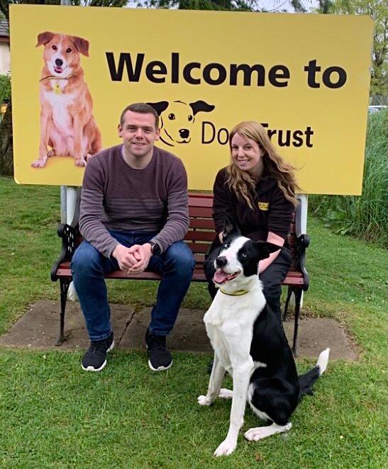 Hugo gets 10/10 putting his best paw forward welcoming MSP Douglas Ross to our centre 🐾
Thank you Douglas for visiting! It was great being able to show him round our centre and telling him about all our work here at Dogs Trust 🐶@dogstrust #adogisforlife #collie #adoptdontshop