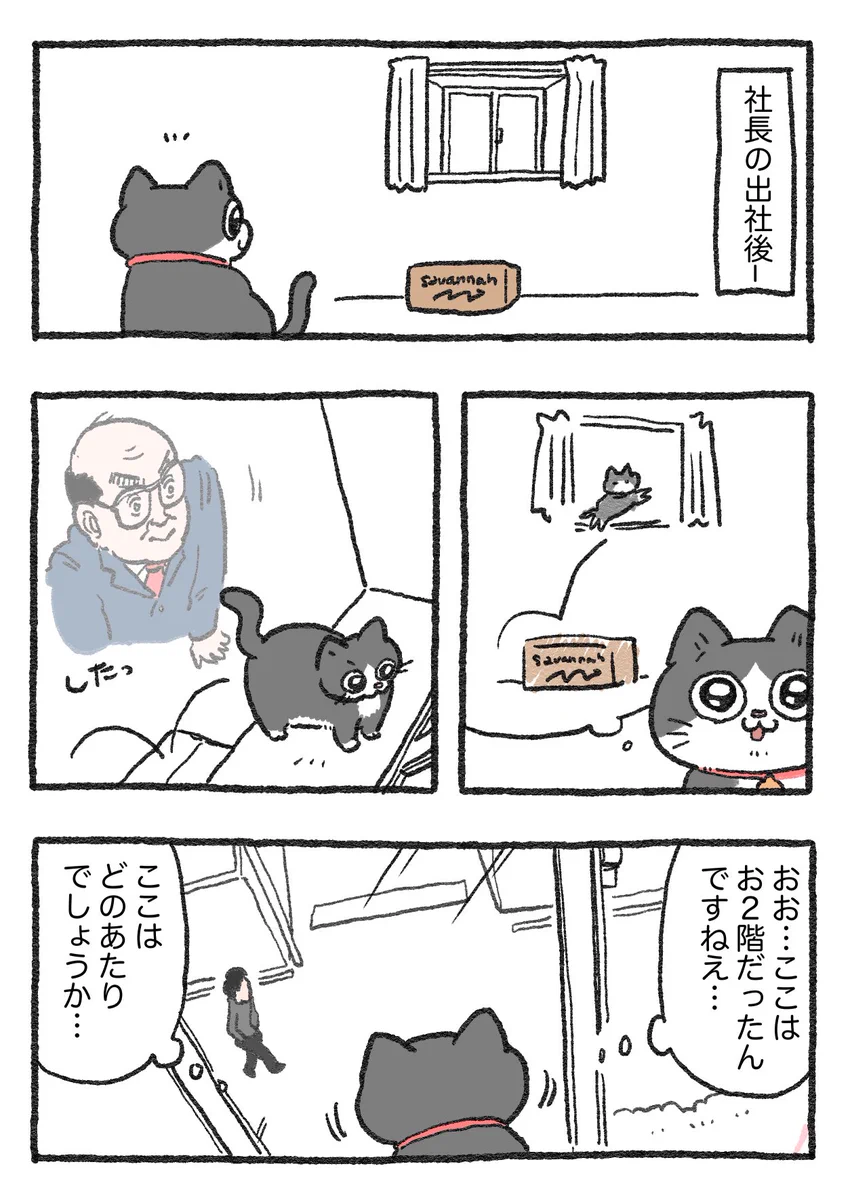 「ねこ転」その109が公開！プンちゃん、初めて外の様子を見ると…！？