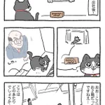 「ねこ転」その109が公開!プンちゃん、初めて外の様子を見ると…!？