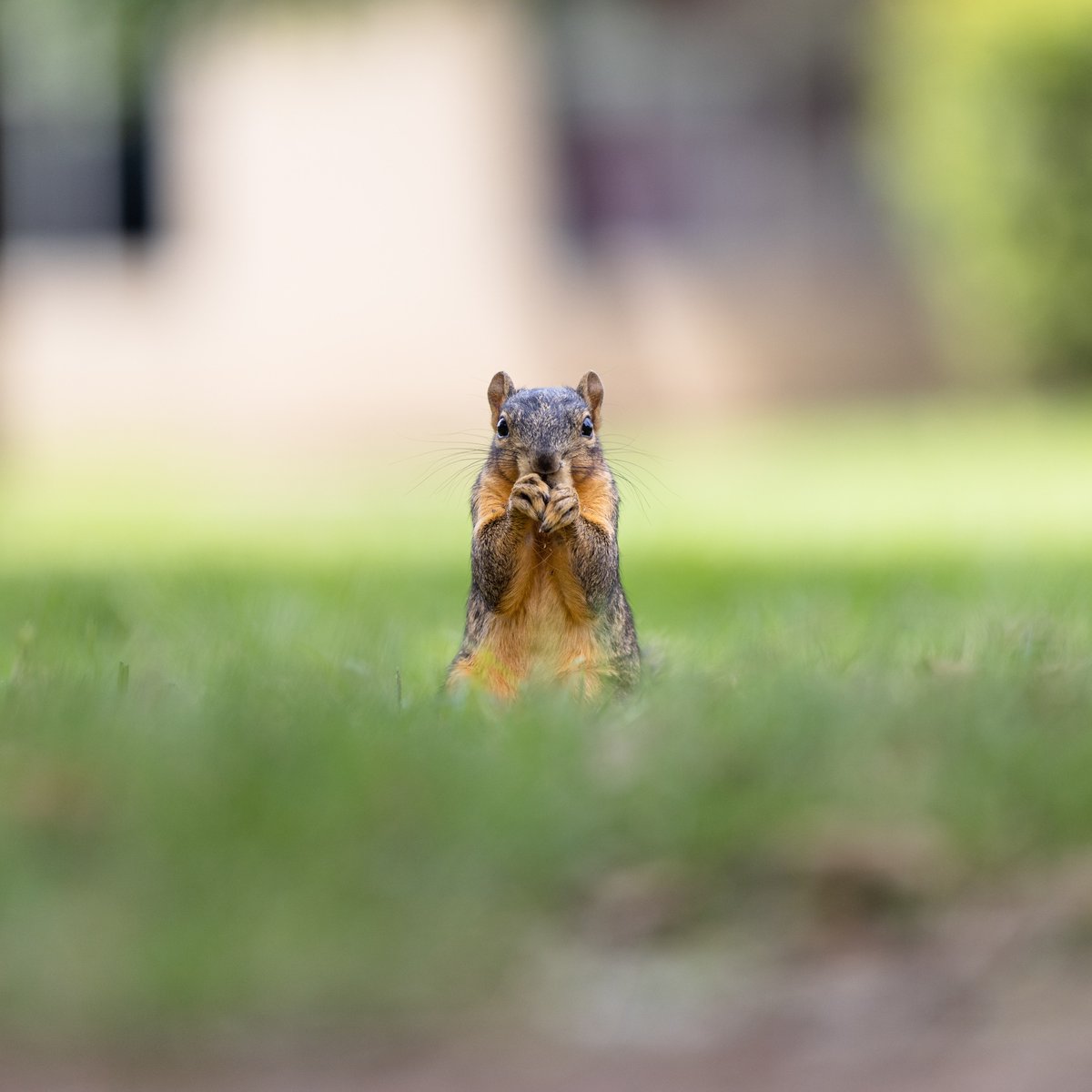 UHouston's tweet photo. What's he thinking? (Wrong answers only.) https://t.co/GqWFCEXNbT
