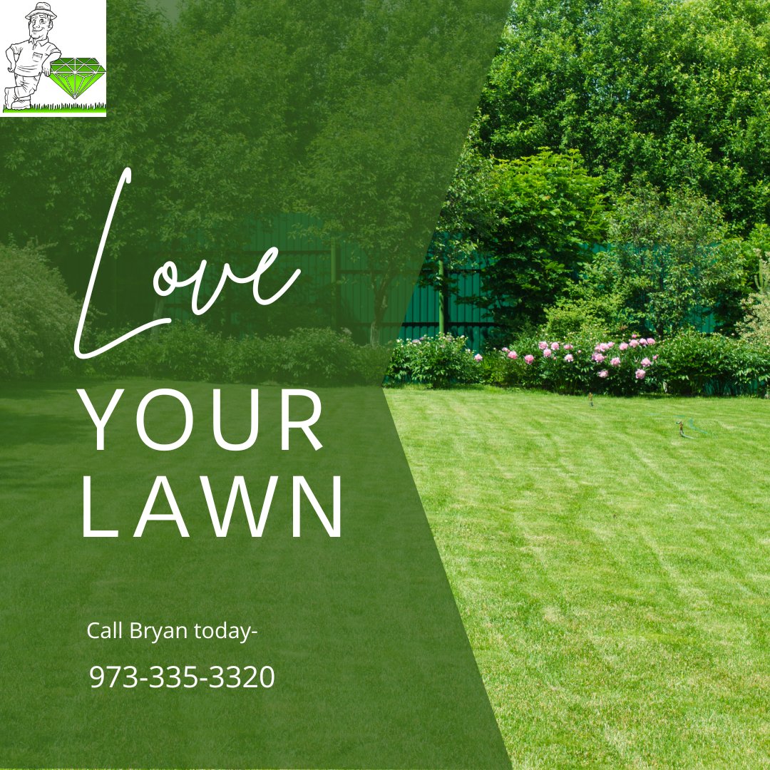 Get the results you're looking for! Our expert team customizes each service plan so your yard gets the love it needs. Give us a call today.📞

#EmeraldLawnNJ #EmeraldLawnScapes #NJLawnCare #NJLandscaper #MorrisCounty #BoontonNJ #NJSmallBusiness #FamilyOwned
