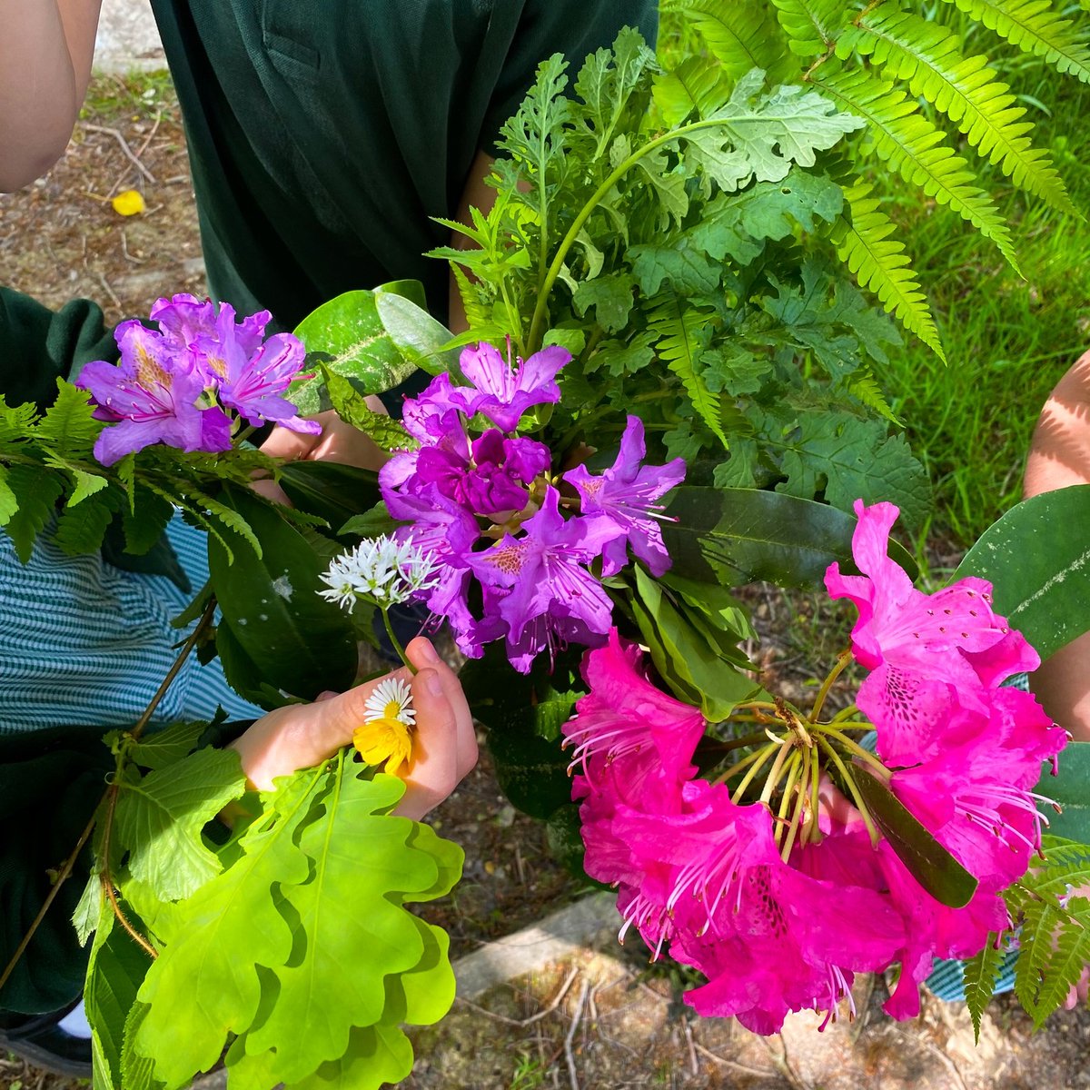 GreenfieldsInd's tweet photo. Year 3 students have been learning about the Celts, how they lived and how important Druids were in history. we made Druid flower crowns! They loved it!
#independentschools #PrivateSchool #independenteducation #History #Flowers #ukschool  #sussexschool https://t.co/5l0vtXXcHl