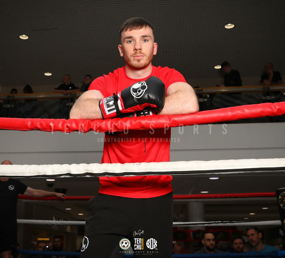 TenchuSports's tweet image. #LopezConlan Public Workout at the @KCbelfast 
🥊 @Kieranmolloy8

📷 © @ChrisScottPics • @TenchuSports 

#MichaelConlan #ConlanBoxing #Belfast #TopRank #KieranMolloy #Galway #WestBelfast #TenchuSports