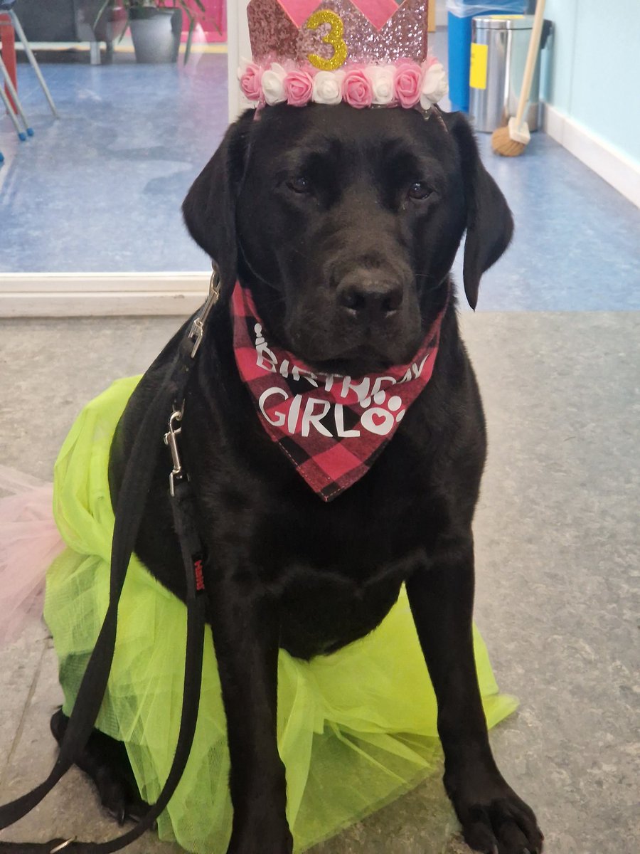 Oide Shona tweet media