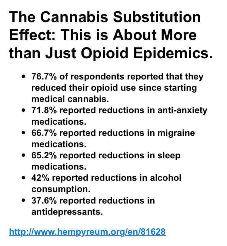 Bigger numbers than I would’ve guessed! It’s amazing to see people using #Cannabis instead of narcotics & pharmaceuticals! People deserve a chance for a healthier, happier lifestyle! #LegalizeIt #CannabisCommunity #Mmemberville